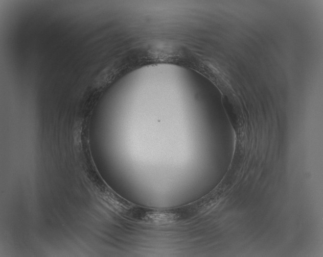 X0000076060221200610061544