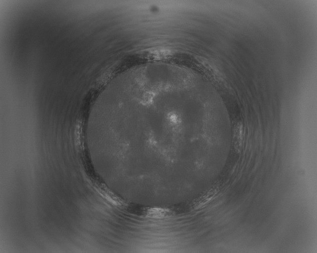 X0000076060222200610061544