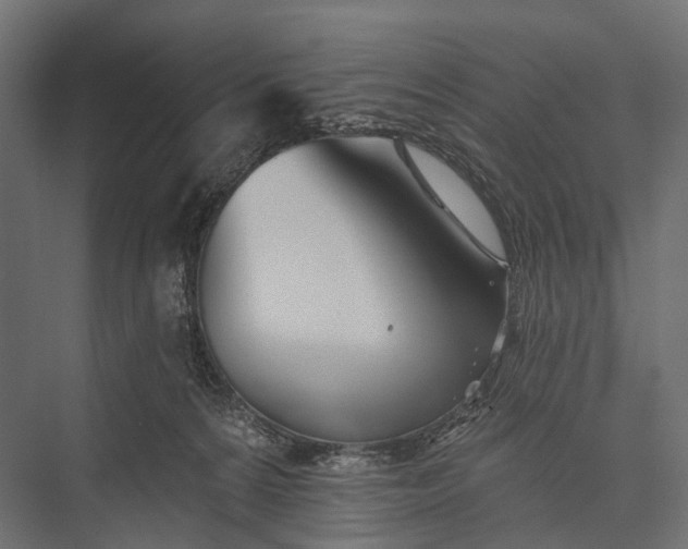 X0000076060224200610061544