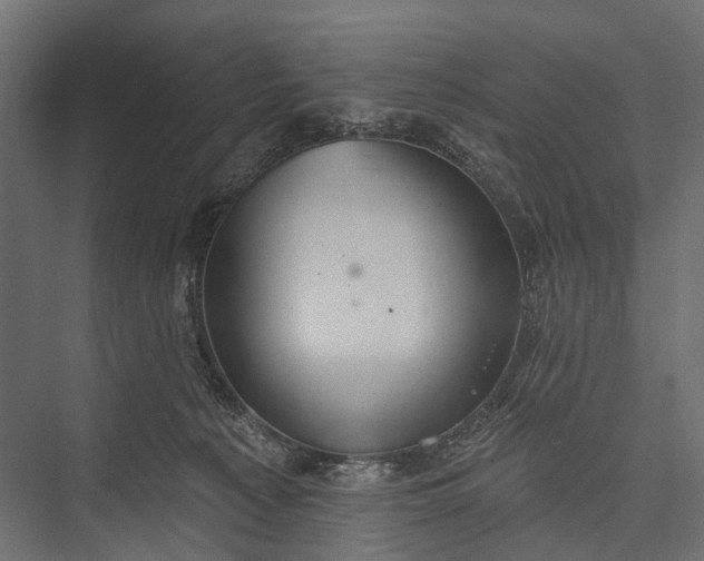 X0000076060225200610061544