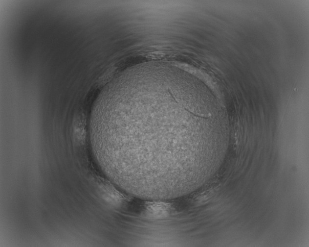 X0000076060226200610061544