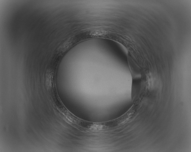 X0000076060227200610061544