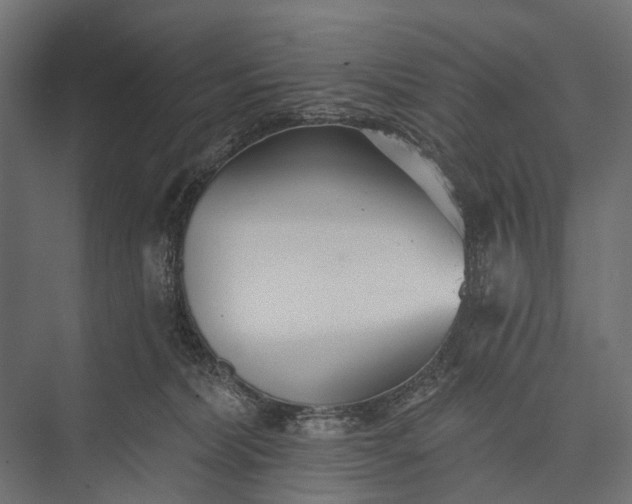 X0000076060228200610061544