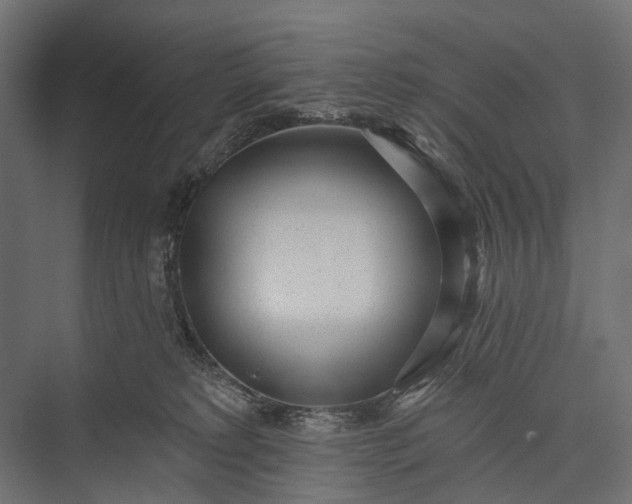 X0000076060229200610061544