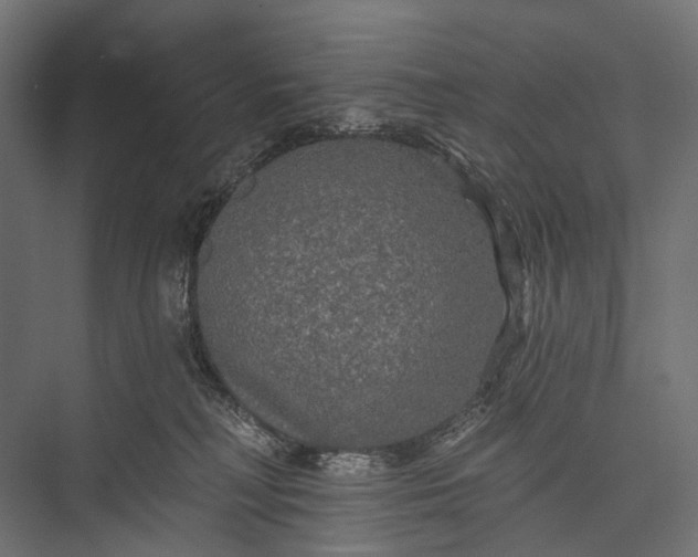 X0000076060230200610061544