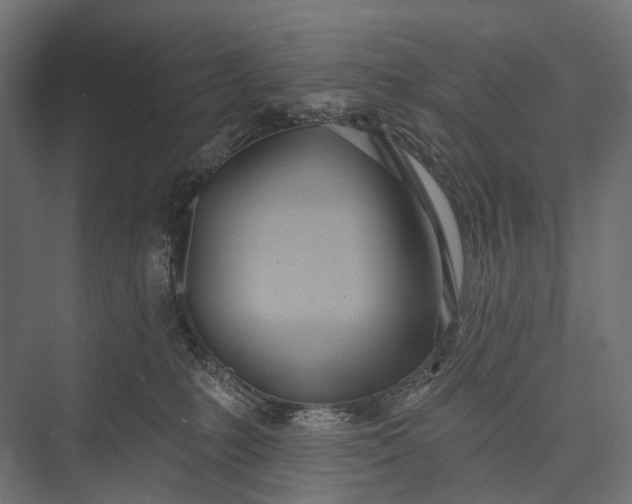 X0000076060231200610061544