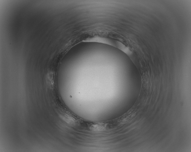 X0000076060232200610061544