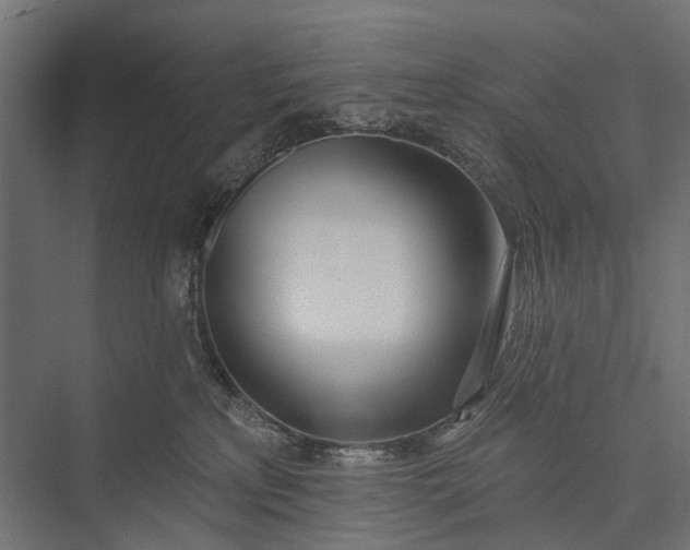 X0000076060233200610061544