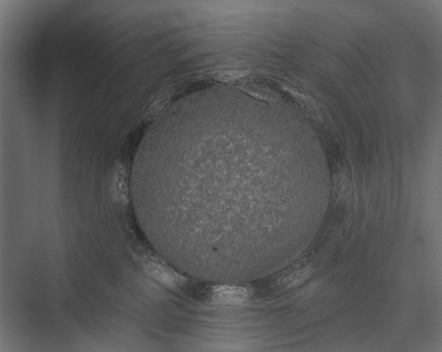 X0000076060234200610061544