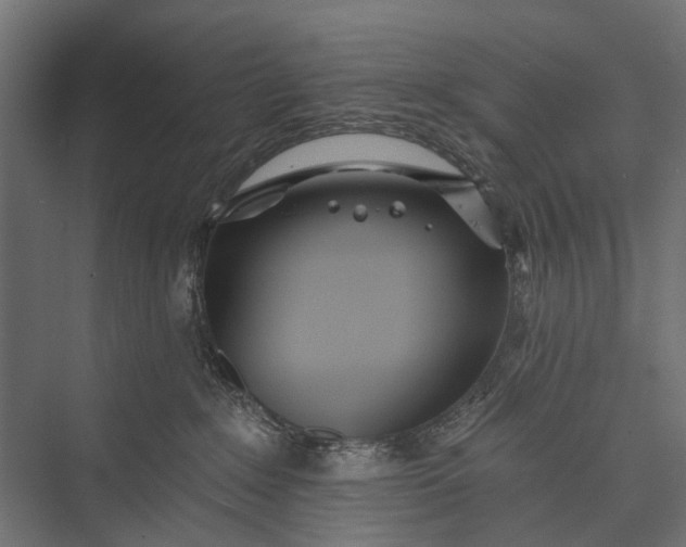 X0000076060235200610061544