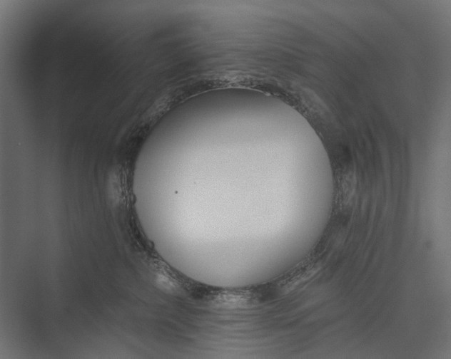 X0000076060236200610061544