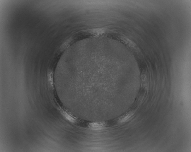 X0000076060238200610061544