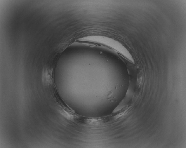 X0000076060239200610061544