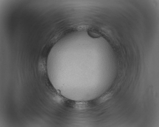 X0000076060240200610061544