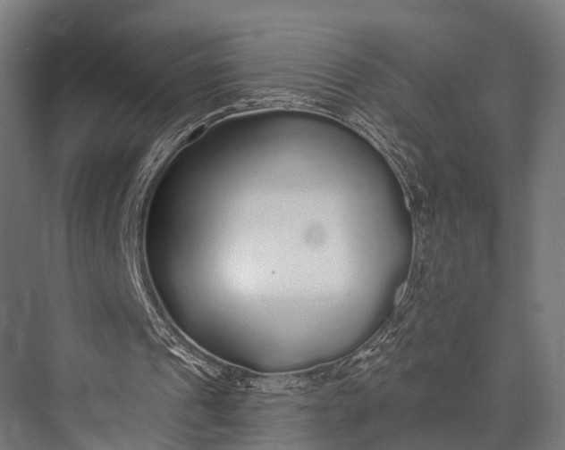 X0000076060241200610061543