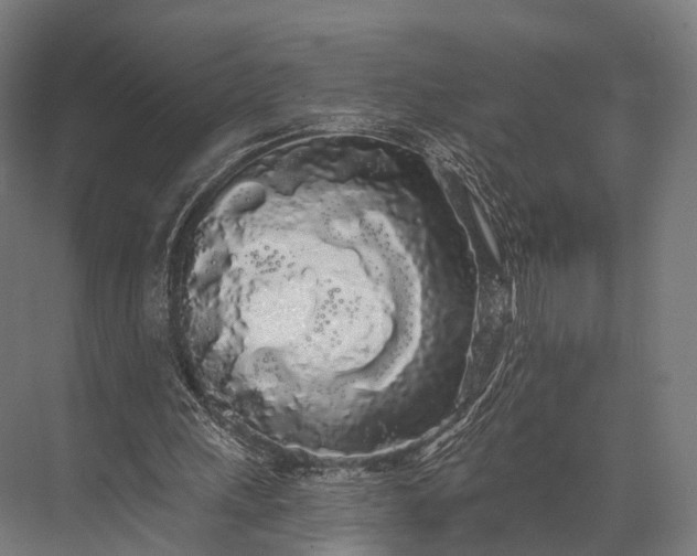 X0000076060243200610061543