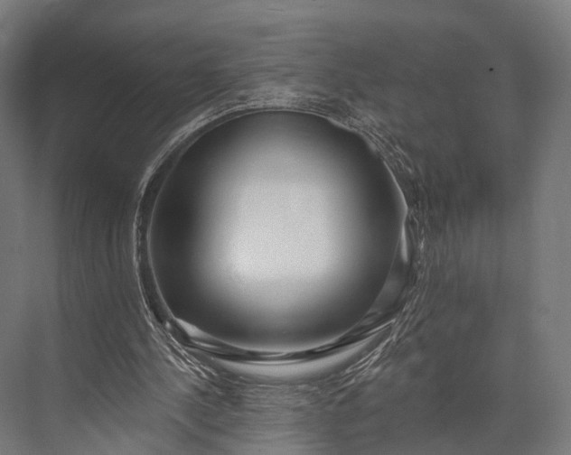 X0000076060244200610061543