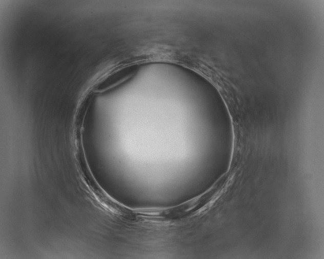 X0000076060245200610061543