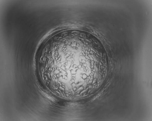 X0000076060246200610061543