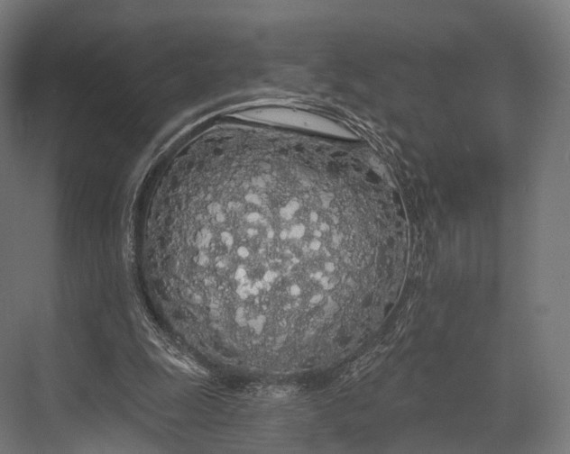 X0000076060247200610061543