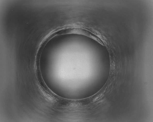 X0000076060248200610061543