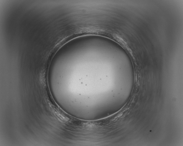 X0000076060249200610061543