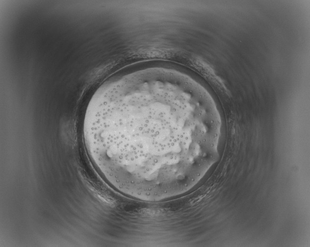 X0000076060250200610061543