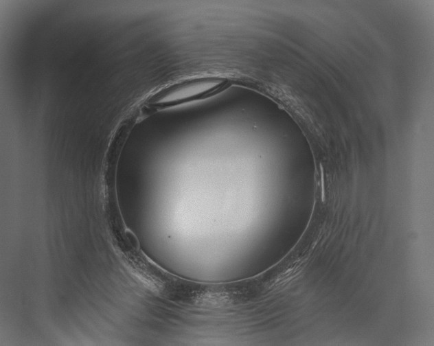 X0000076060252200610061543