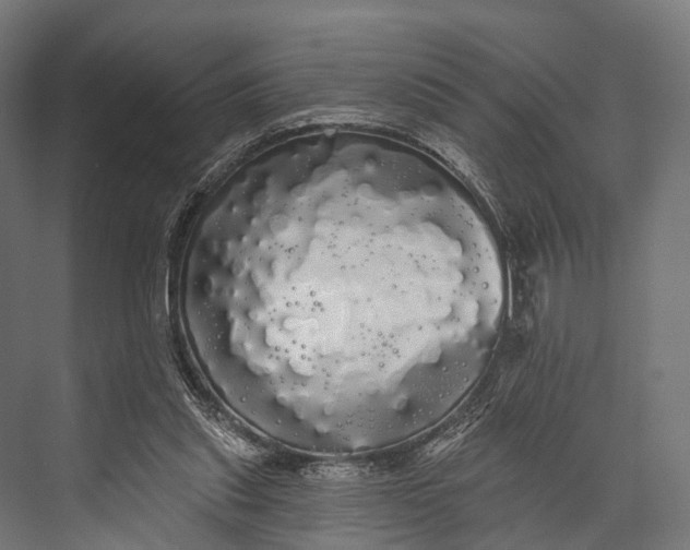 X0000076060253200610061543