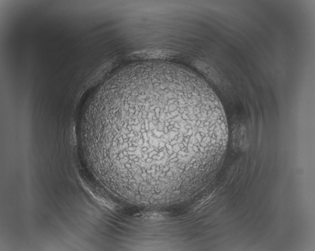 X0000076060254200610061543