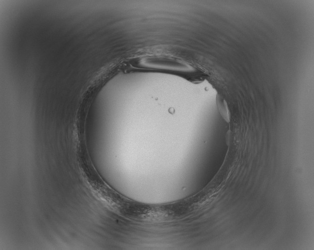 X0000076060256200610061543