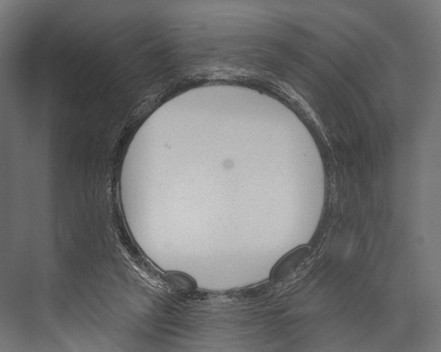 X0000076060257200610061543