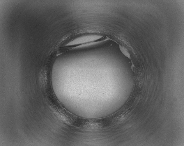 X0000076060260200610061544