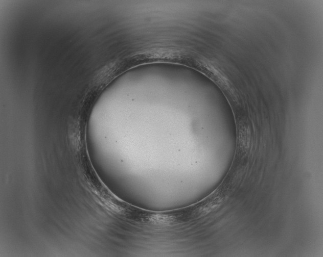 X0000076060261200610061544