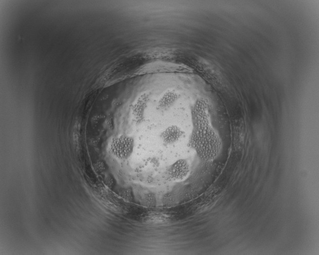 X0000076060263200610061544