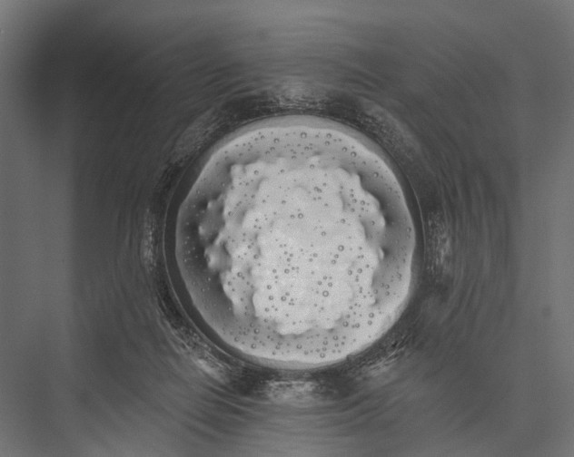 X0000076060266200610061544