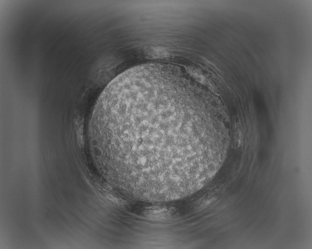 X0000076060267200610061544