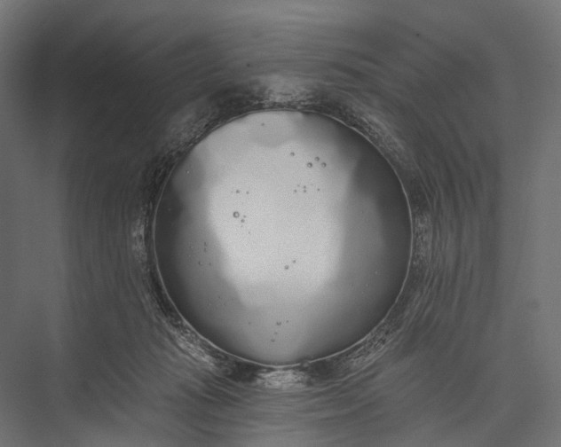 X0000076060269200610061544