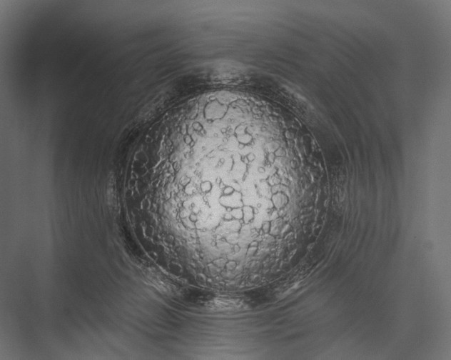 X0000076060270200610061544