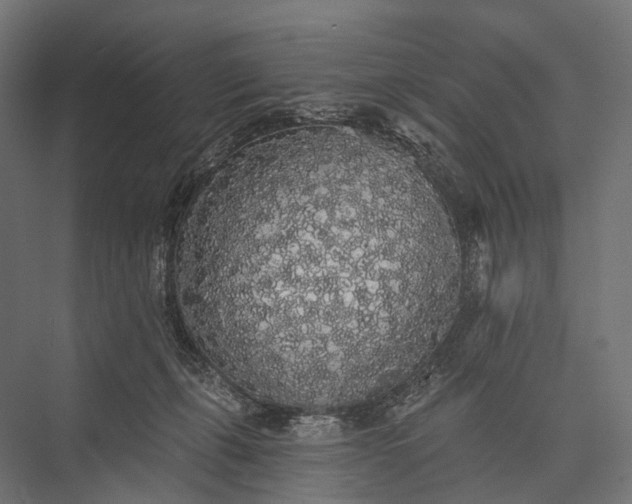 X0000076060271200610061544