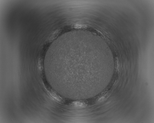 X0000076060272200610061544