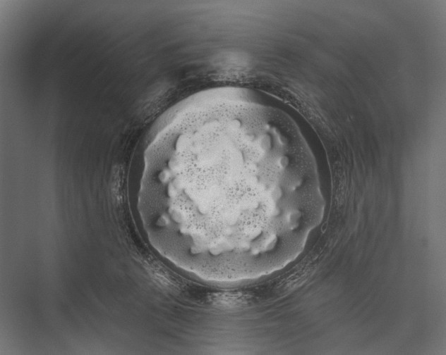 X0000076060273200610061544