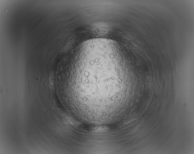 X0000076060274200610061544