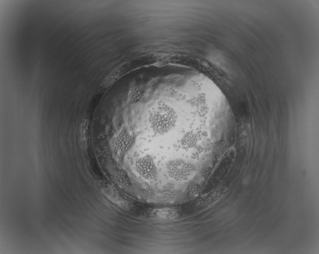 X0000076060275200610061544