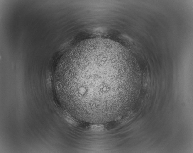 X0000076060279200610061544