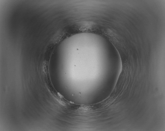 X0000076060280200610061544