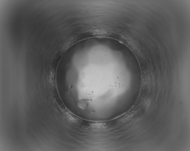 X0000076060281200610061544