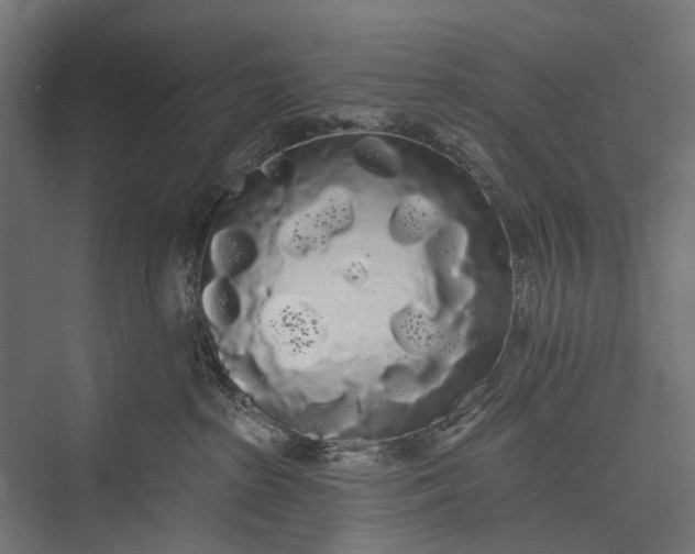 X0000076060285200610061544