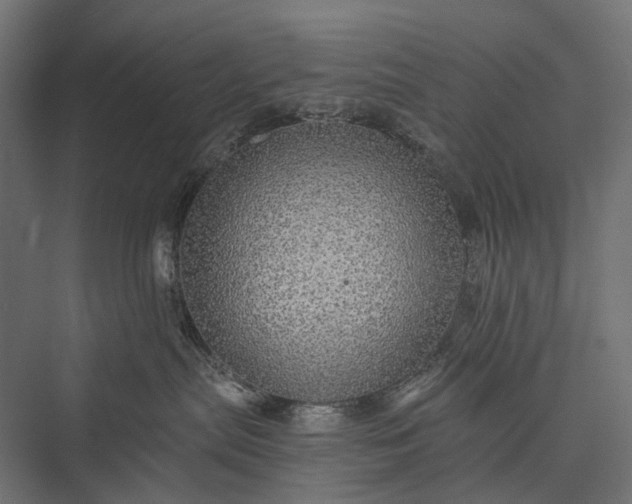 X0000076060287200610061544