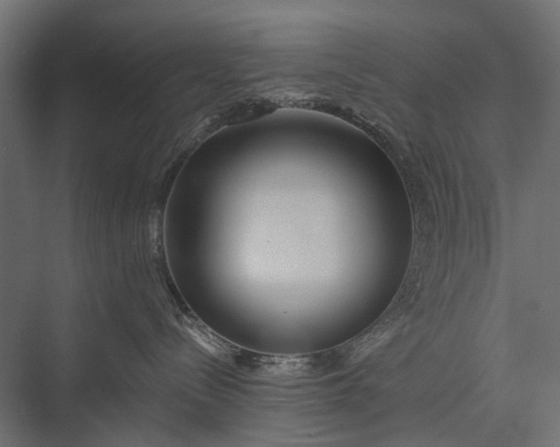 X0000076060288200610061544